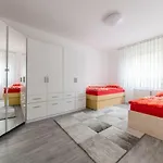 Appartamento Privatapartment Messe Sued *